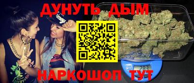 индика Будённовск