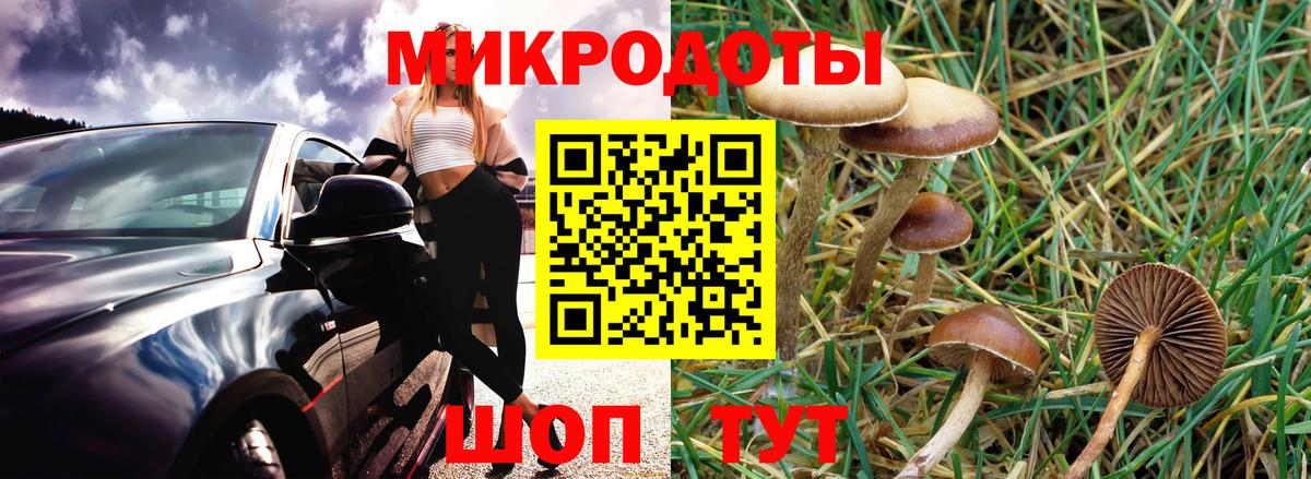 Псилоцибиновые грибы MAGIC MUSHROOMS Мелеуз
